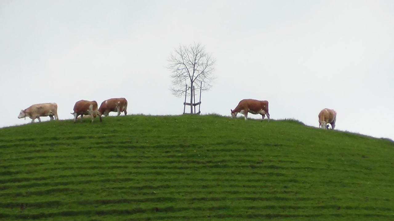 Ferienhof Krinde Ringoldswil Exteriör bild